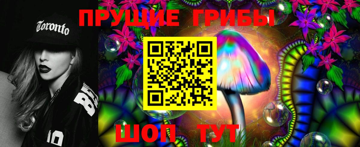 Псилоцибиновые грибы GOLDEN TEACHER Муравленко