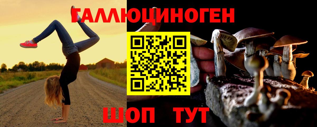 Галлюциногенные грибы Psilocybe  Вход с VPN  Псилоцибиновые грибы MAGIC MUSHROOMS  Муравленко 