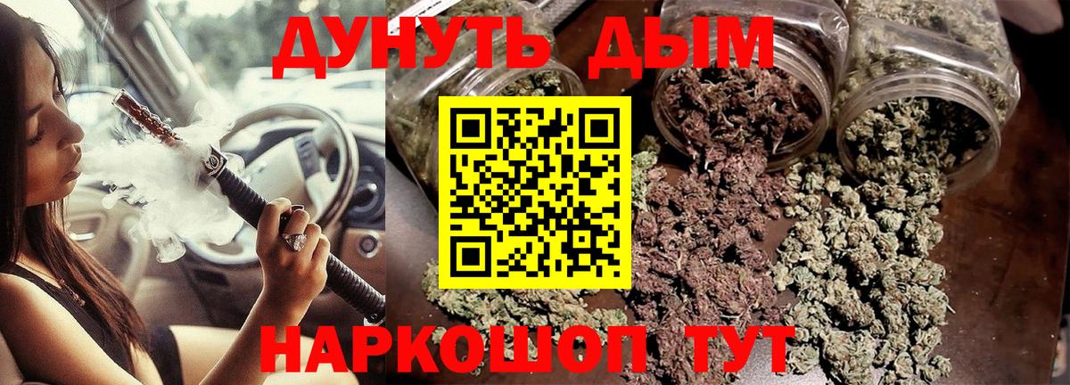 Канабис планчик Муравленко